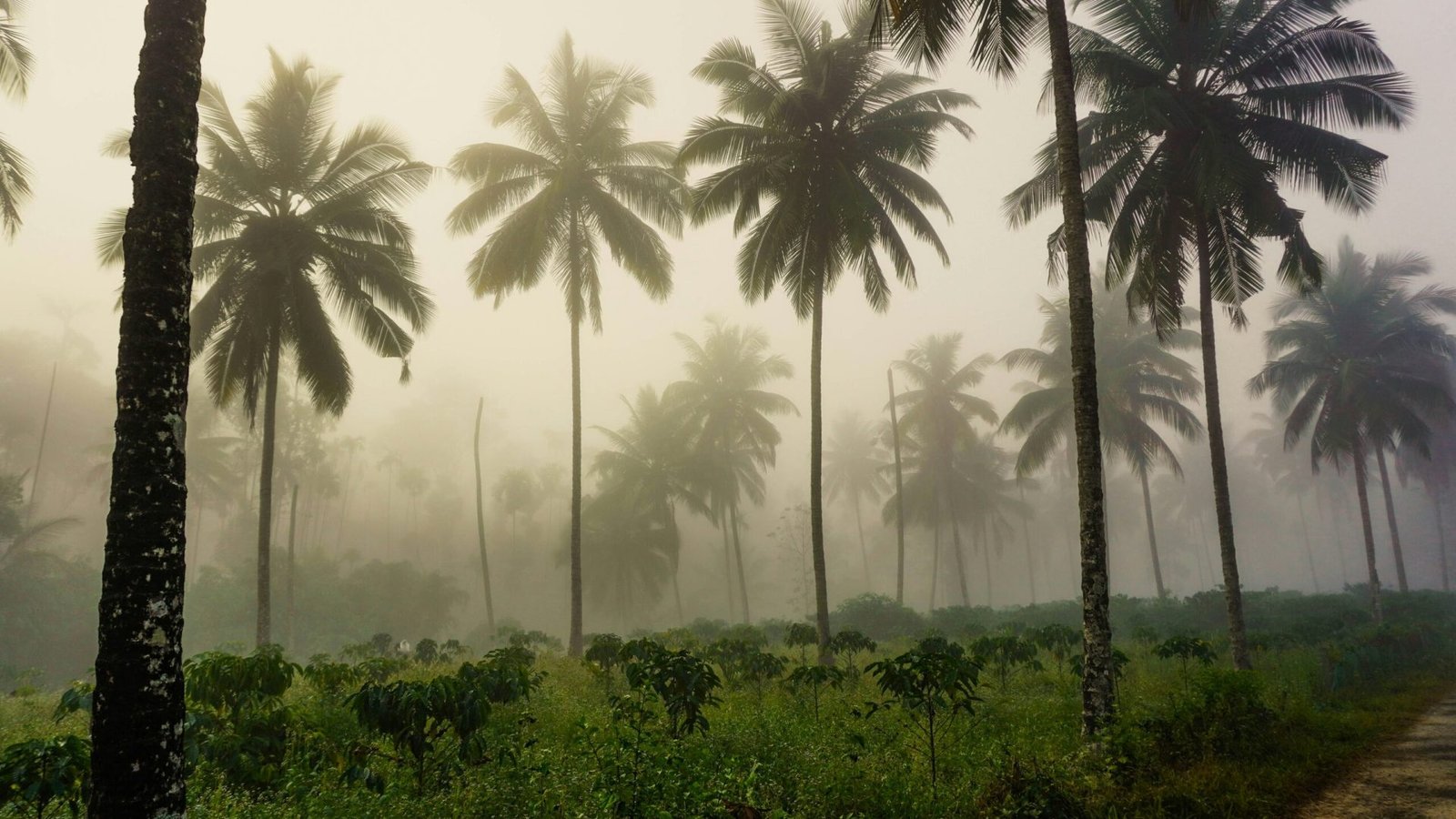 hardik-monga-GfFsbhNOW5c-unsplash